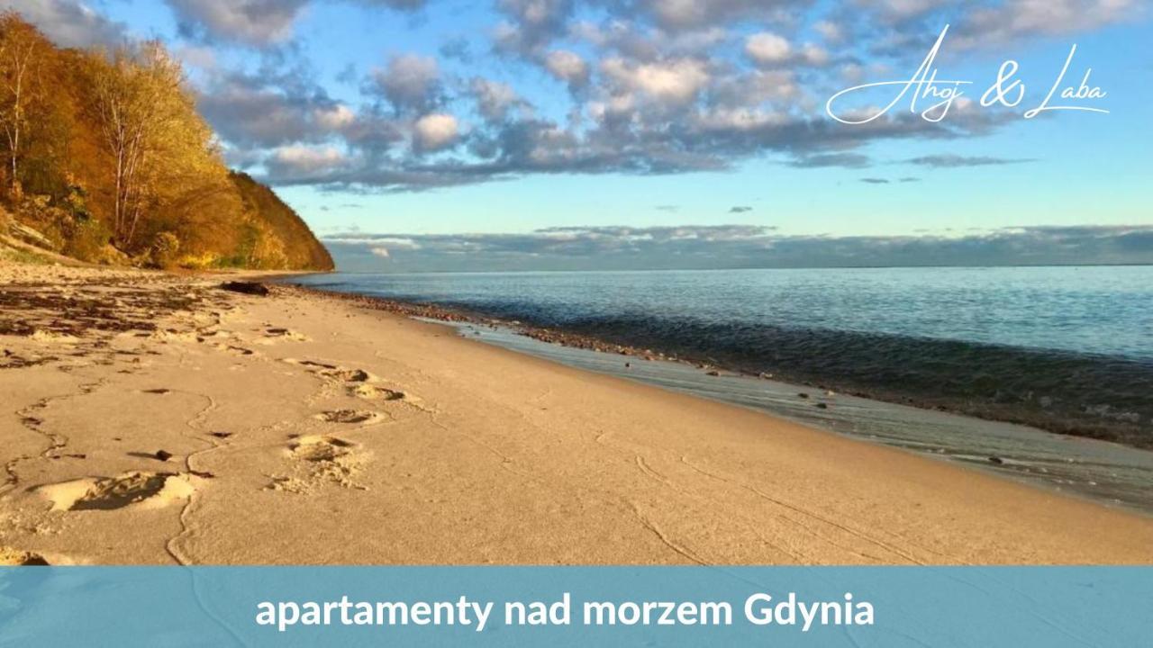 Ferienwohnung Laba - Basen, Blisko Plazy, Cisza, Taras, Parking, Bezplatne Wifi, Wyjatkowy! Gdynia Exterior foto