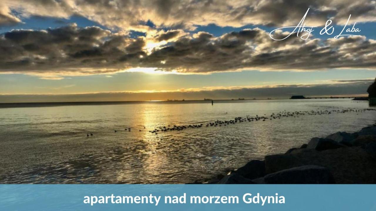Ferienwohnung Laba - Basen, Blisko Plazy, Cisza, Taras, Parking, Bezplatne Wifi, Wyjatkowy! Gdynia Exterior foto